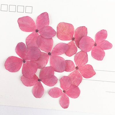 Pink Pressed Flowers: Resin Art Supplies, Paper Crafts (10 PC) Hydrangea Flower