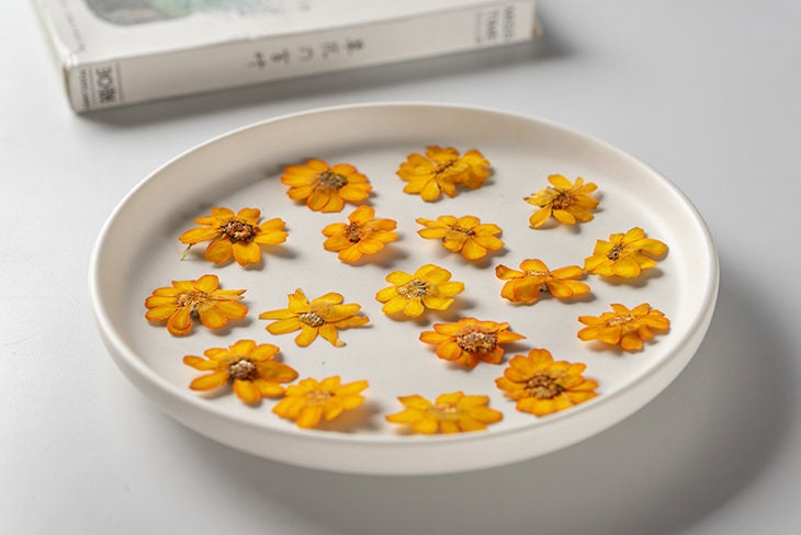 Pressed Flower,Zinnia Pressed Flower,10 PCS/pack,Pressed Orange Dried Flower Real Pressed Flower Dry Natural Pressed Flowers