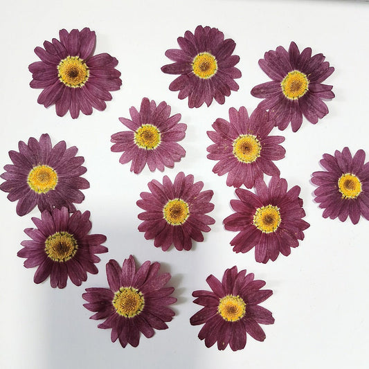 Purple Pressed Flowers: Scrapbooking Art, Set of 8