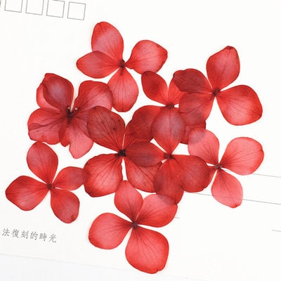 Pressed Flowers,blue Pressed Flowers,Set of 12 PCS, Pressed dried flower,Flat Flowers,Hydrangea dried flower petals,flower (1.5-2cm)