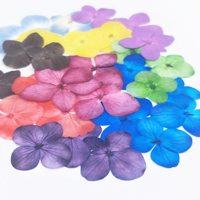 Pressed Flowers,Red Pressed Flowers,Set of 12 PCS, Pressed dried flower,Flat Flowers,Hydrangea dried flower petals,flower (2-3cm)