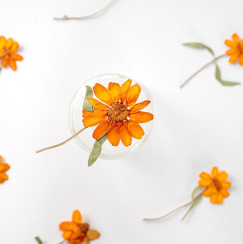 Orange Pressed Flowers, Resin Art Supplies, 8 PCS