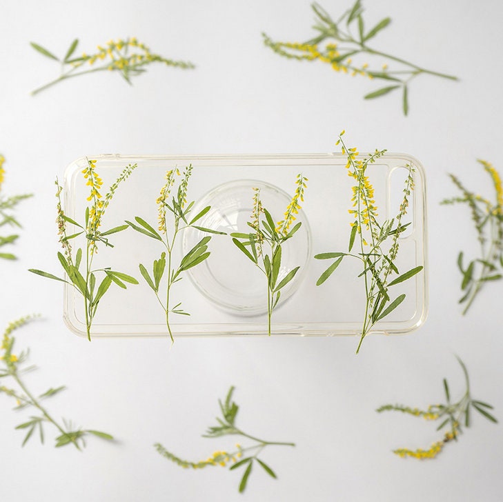 pressed flowers,yellow flowers,10 pcs/pack,Pressed Flowers Dried Real Natural Dry Flower Leaf Flat Wild Leaves Greeny Preserved Flowers
