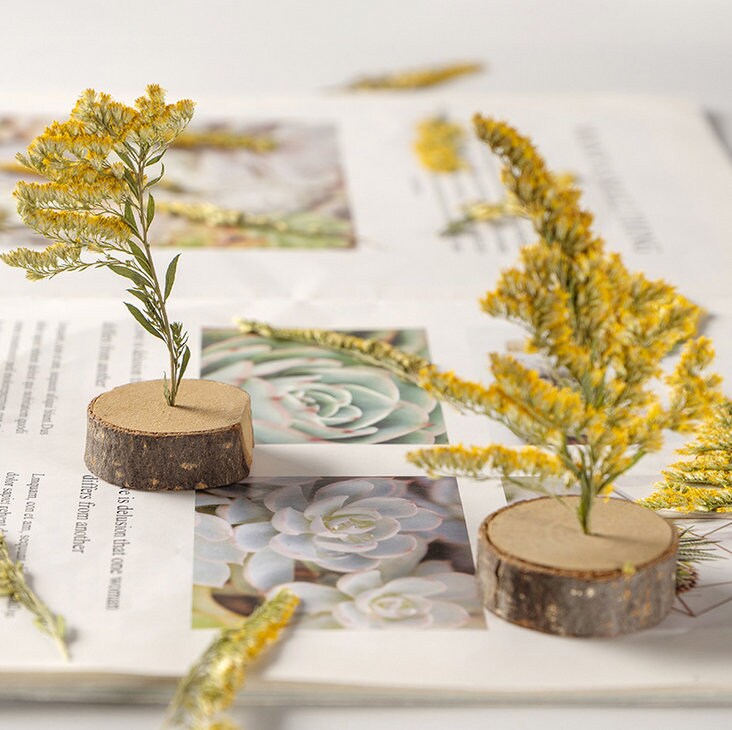 Yellow Pressed Flower Stems, Natural Dried Flowers (10PCS)
