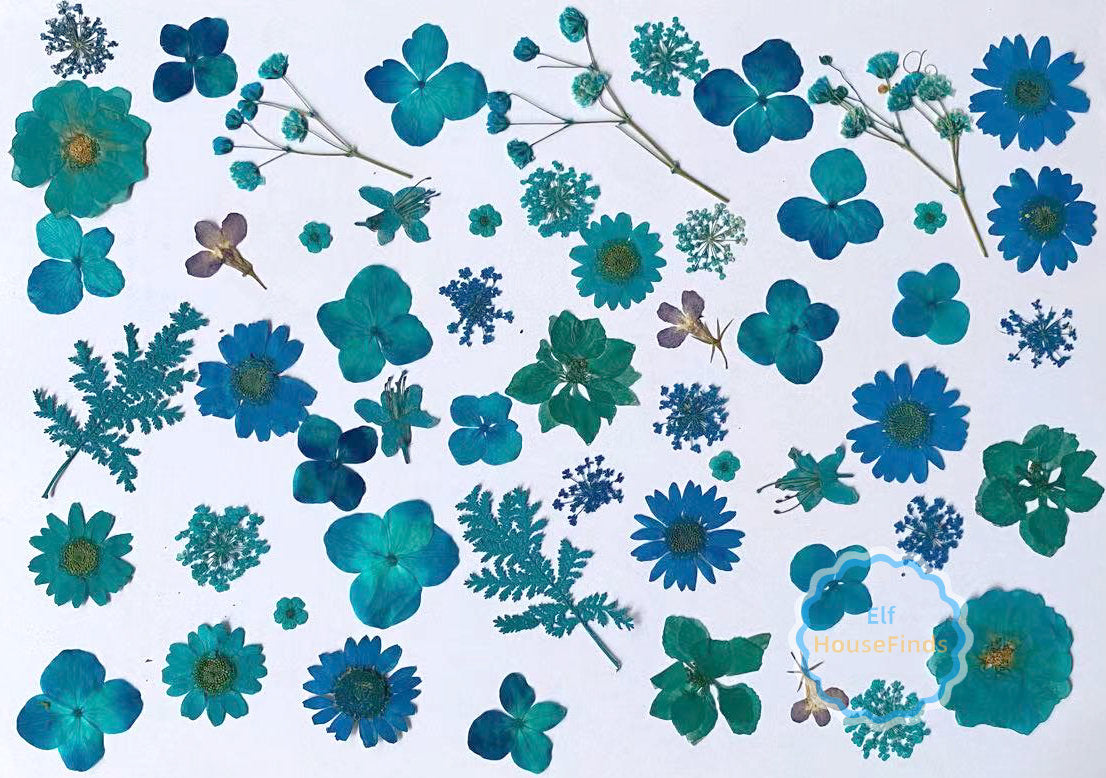 20-100 PCS Blue Pressed Flowers: Real Dried Flowers for Crafts