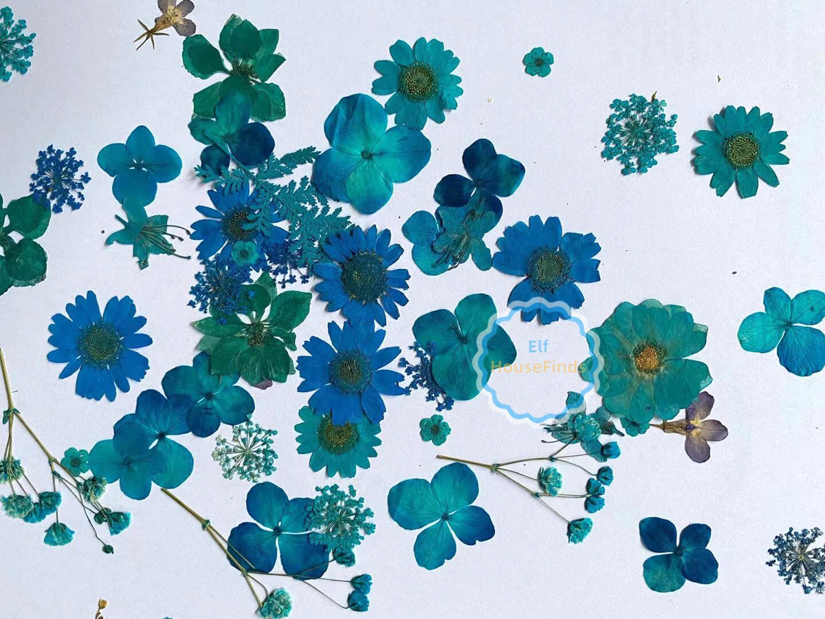 20-100 PCS Blue Pressed Flowers: Real Dried Flowers for Crafts