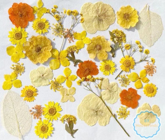 100 PCS Pressed Flowers: Mixed Red, Orange, Yellow, Purple Dried Flowers