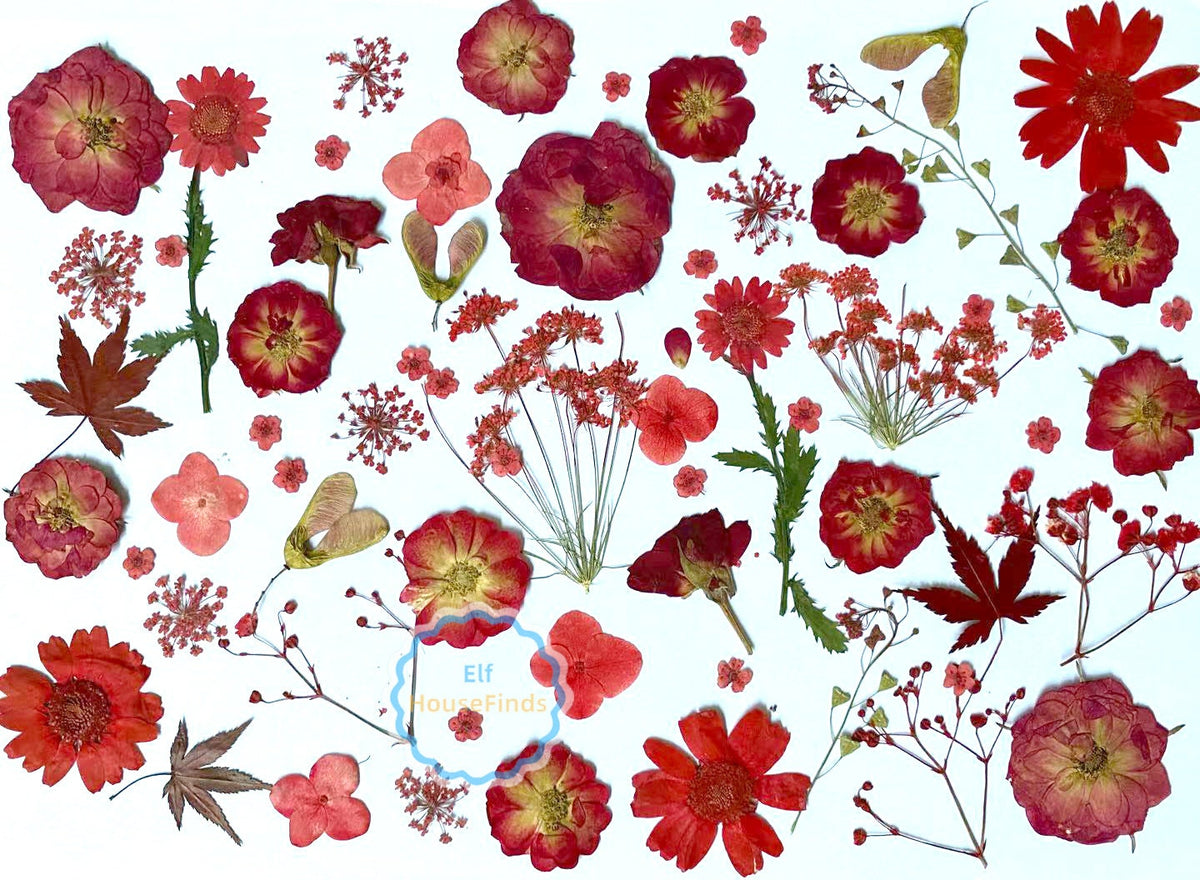 100 PCS Pressed Flowers: Mixed Red, Orange, Yellow, Purple Dried Flowers