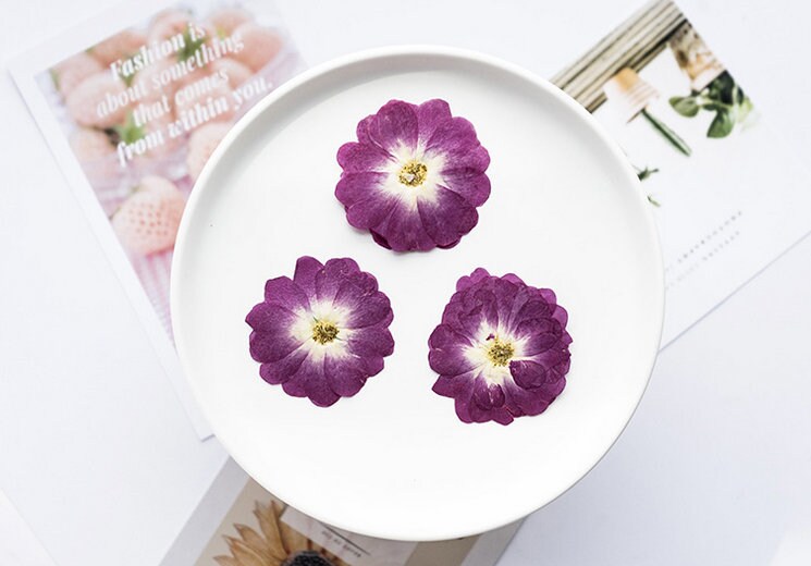 Pressed Purple Rose Flowers: Dried Floral Embellishments (8 PCS)