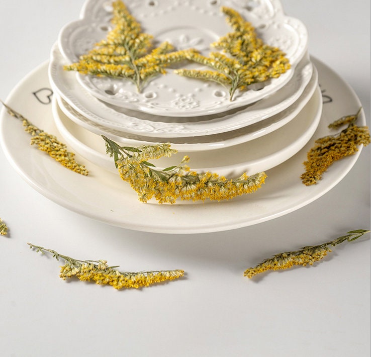 Yellow Pressed Flower Stems, Natural Dried Flowers (10PCS)