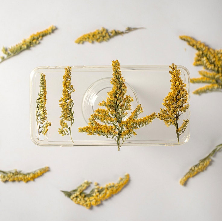 Yellow Pressed Flower Stems, Natural Dried Flowers (10PCS)