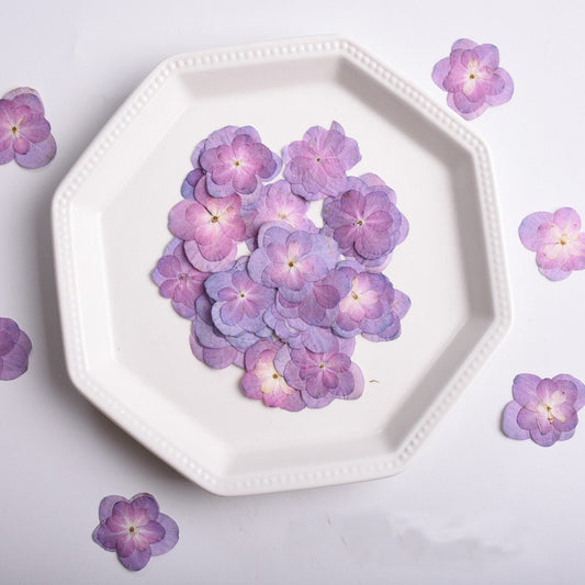 Pressed Purple Hydrangea Flowers: Dried Flat Flower Pack (12 PC) Pressed dry flowers