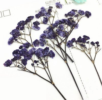 Purple Pressed Flowers: Resin Crafts, Paper Crafts - 8 PCS