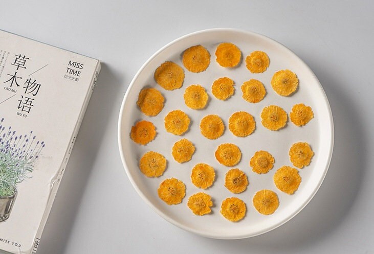 Pressed Orange Daisies, Small Dried Flowers (12 PCS/Pack)
