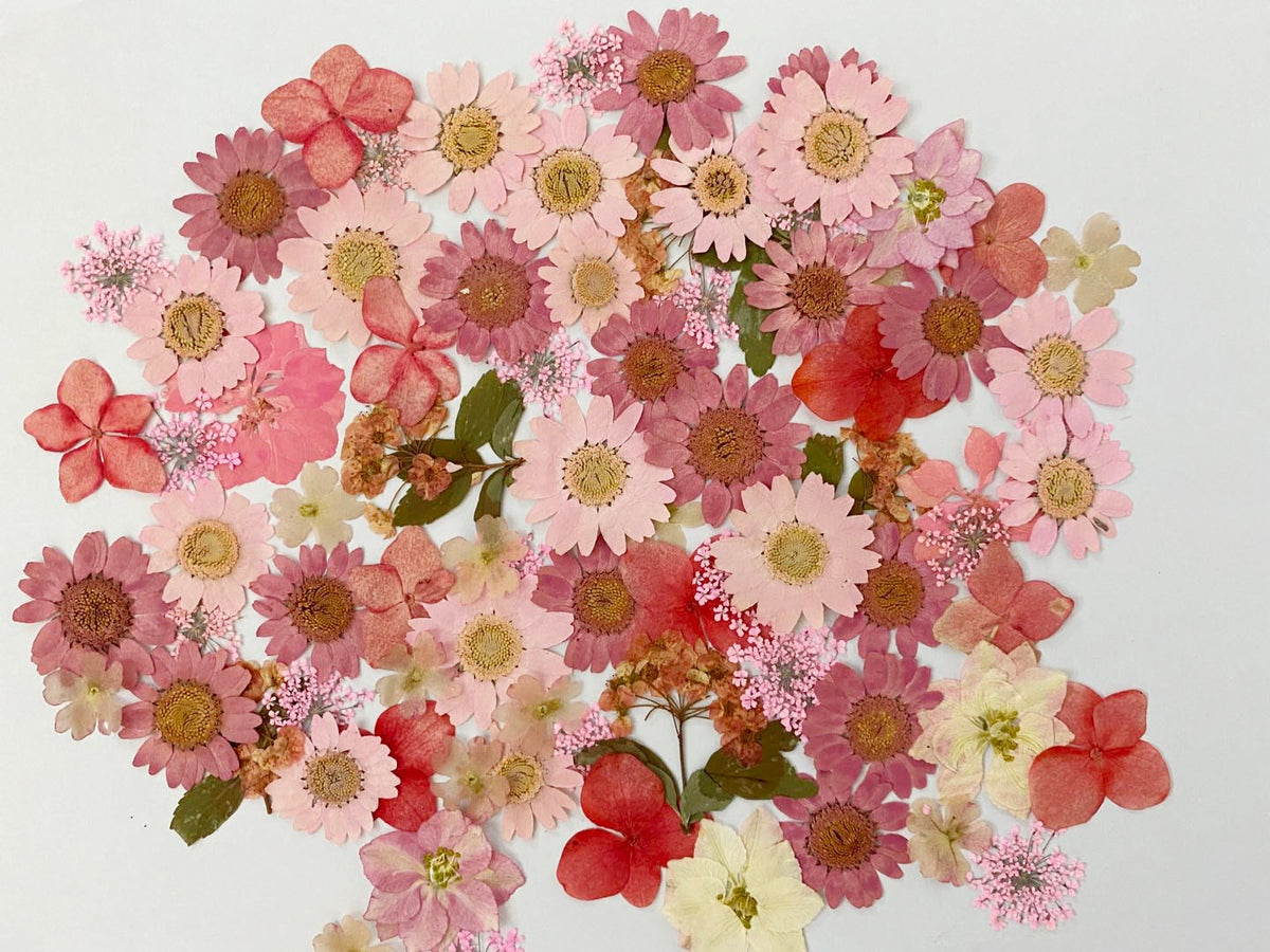 100 Pink Pressed Flowers: Mixed Dried Flowers for Crafts