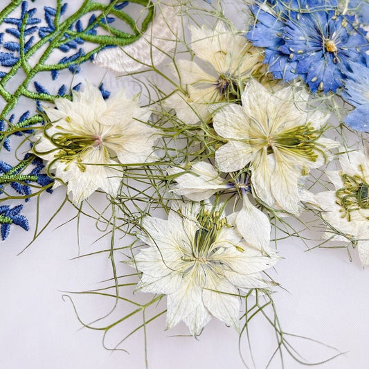 White Nigella Pressed Flowers - Delicate Floral Embellishments (6 PCS/Pack)