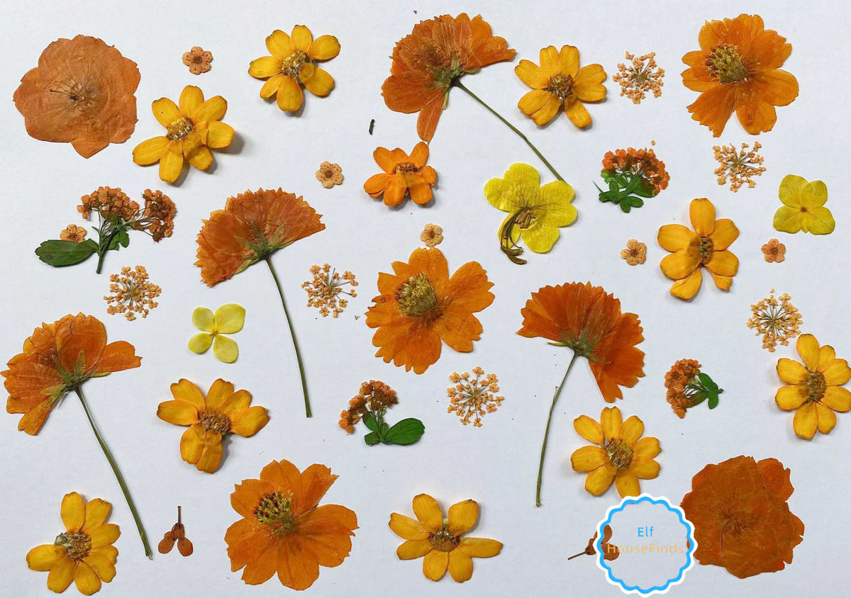 100 PCS Pressed Flowers: Mixed Red, Orange, Yellow, Purple Dried Flowers