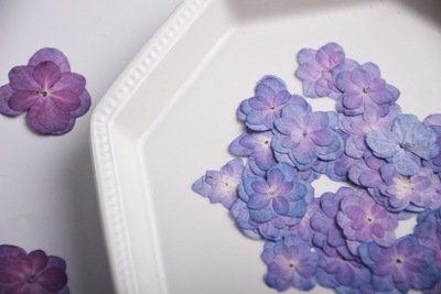 12 PC Blue Purple Pressed Hydrangea Flowers, Resin Crafts