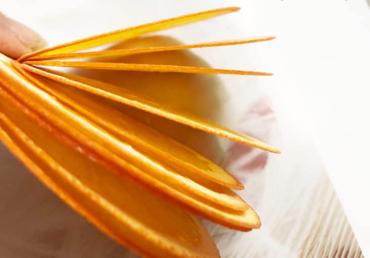 Pressed Fruits,Pressed Orange slice ,Set of 2 PCS,dried Orange slice,dried Fruits