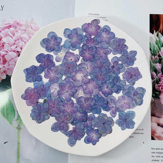 12 PC Blue Purple Pressed Hydrangea Flowers, Resin Crafts