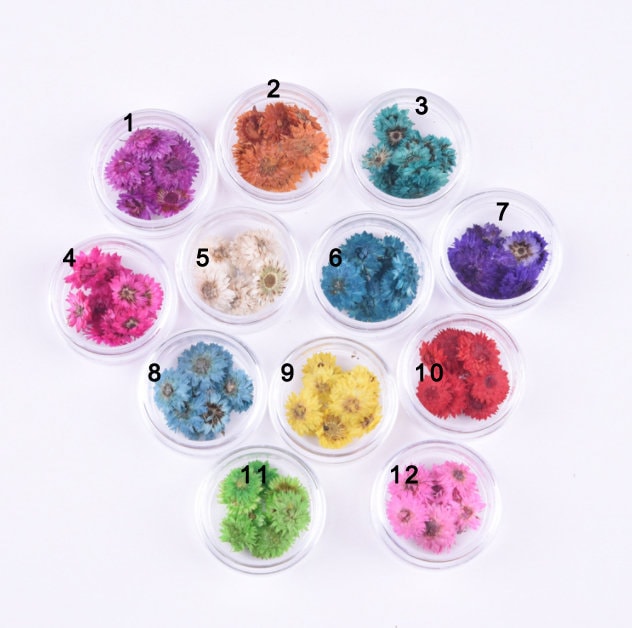 Small Chrysanthemum Pressed Flowers: nail flower Resin Crafts, Decoupage (10 PCS)
