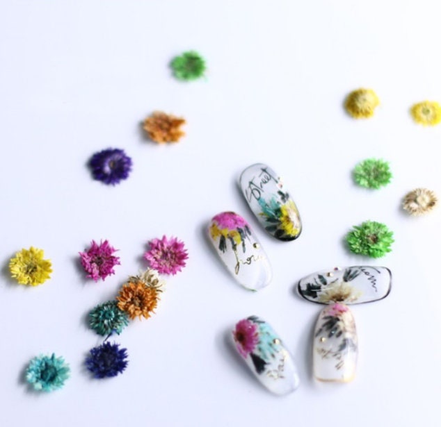 Small Chrysanthemum Pressed Flowers: nail flower Resin Crafts, Decoupage (10 PCS)