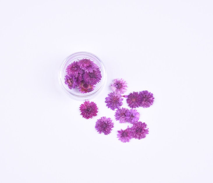 Small Chrysanthemum Pressed Flowers: nail flower Resin Crafts, Decoupage (10 PCS)