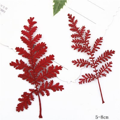 Pressed Red Leaves: Real Dried Leaf Set (12PCS)