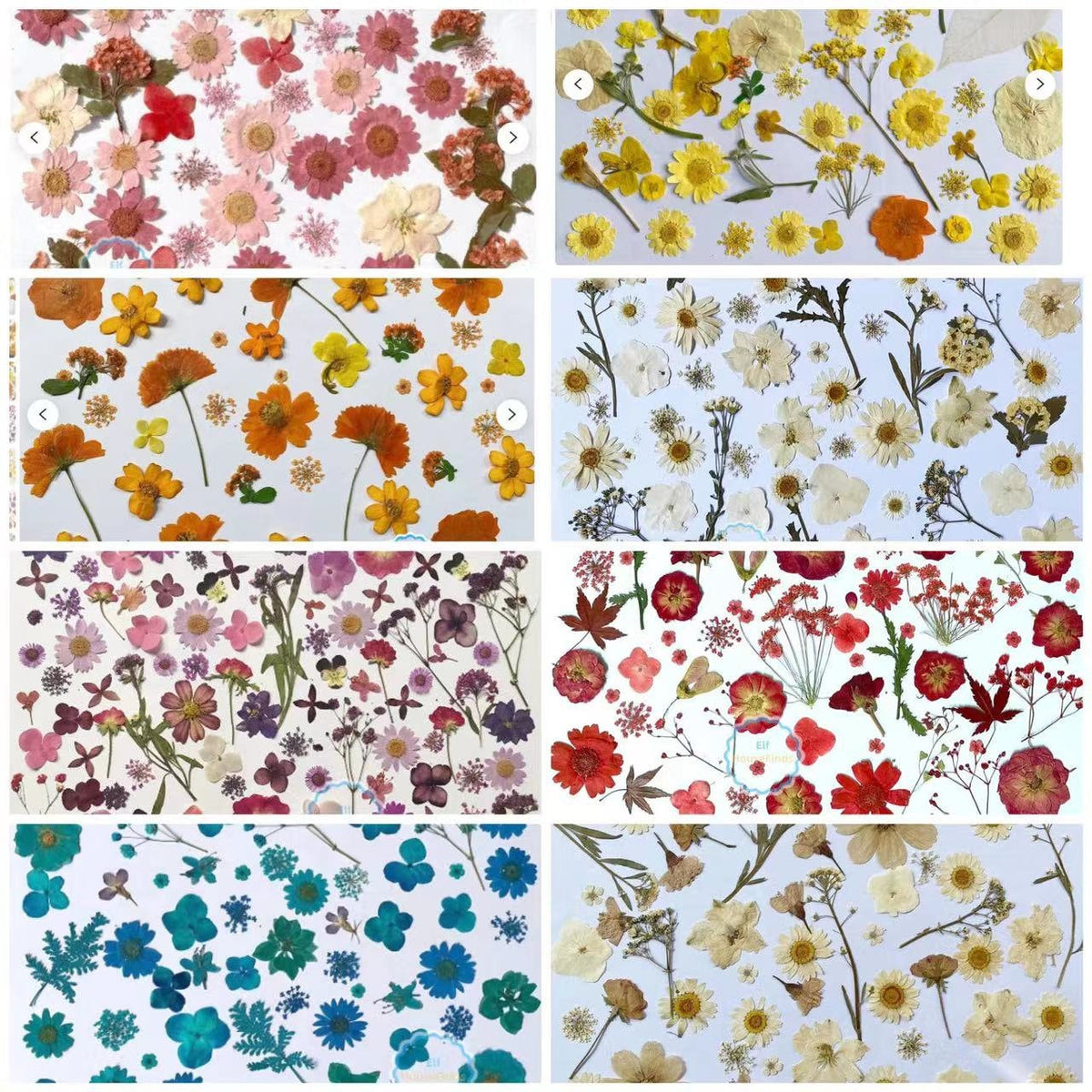 Purple Pressed Flowers 20 PCS  Real Dried Floral Embellishments
