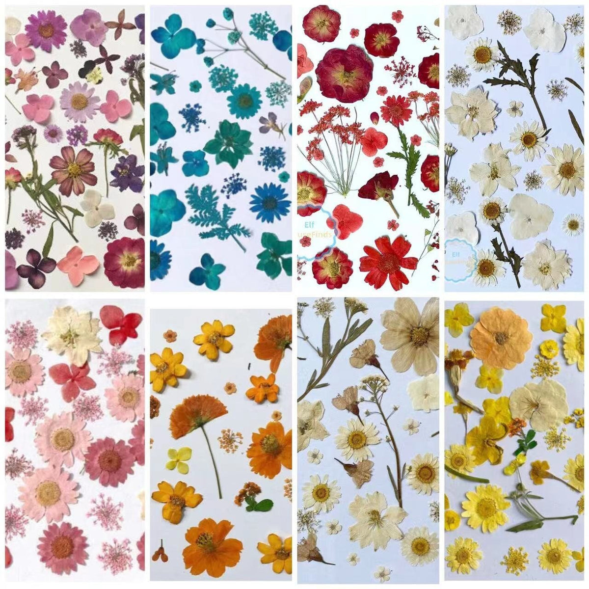 100 Mixed Pressed Flowers: Orange, Yellow, Red, Pink & Blue