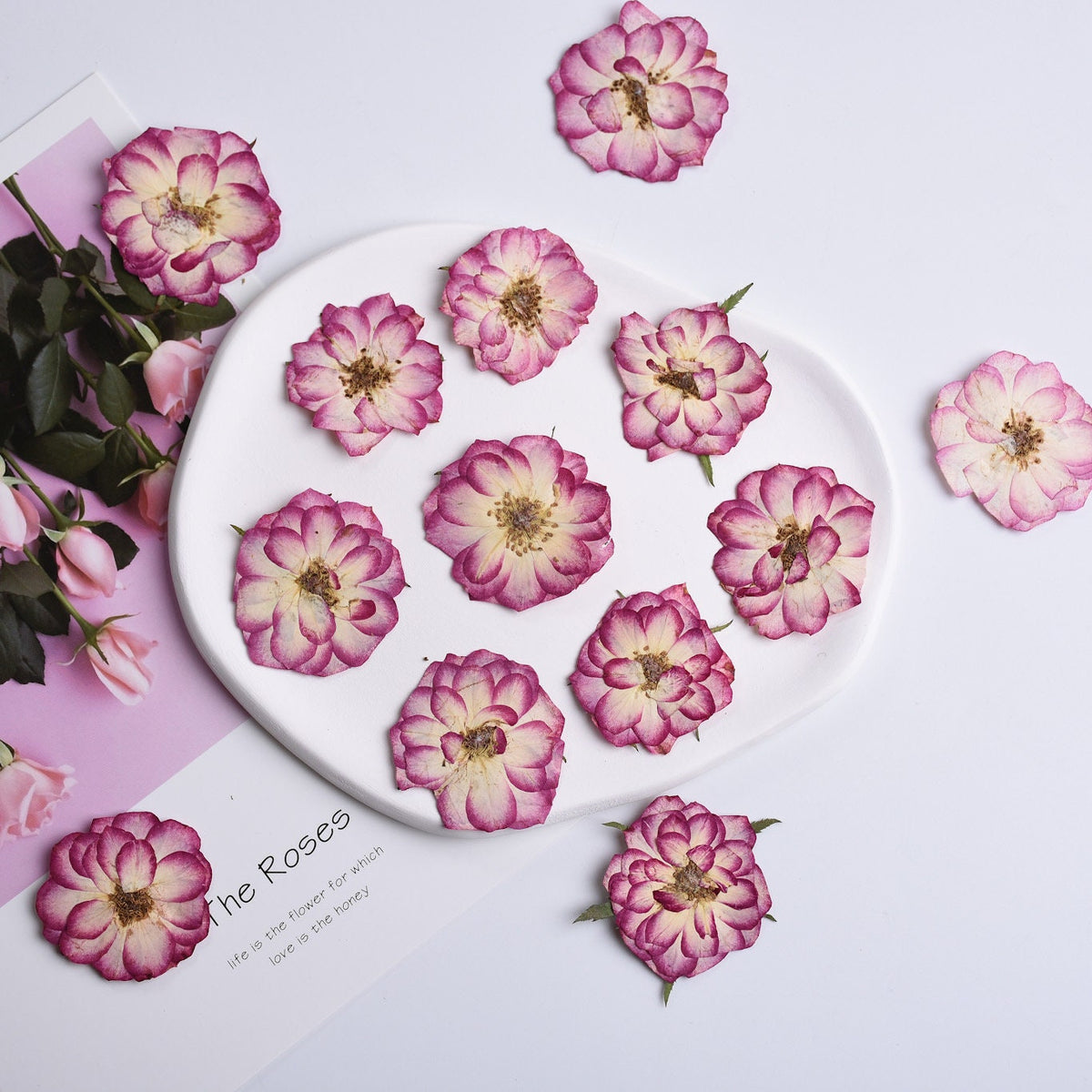 Pressed Purple Roses: Two-Tone Dried Flowers, 6 PCS