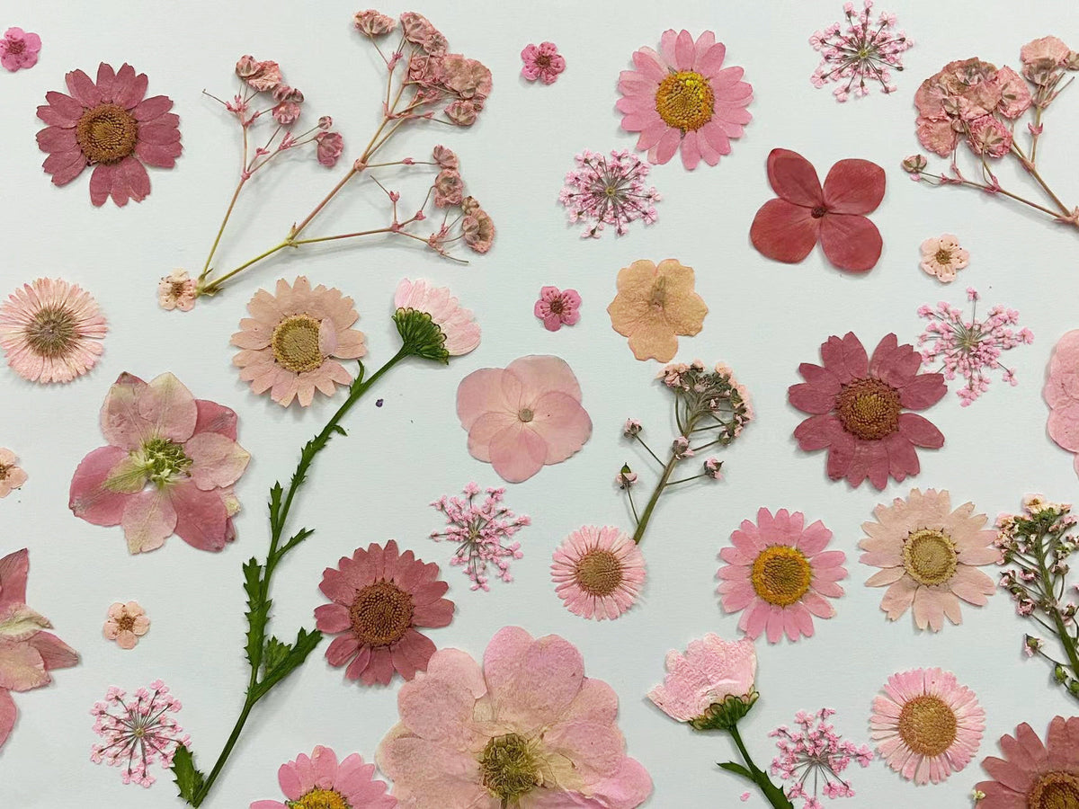100 Pink Pressed Flowers: Mixed Dried Flowers for Crafts