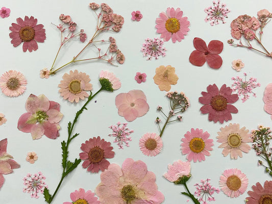 100 Pink Pressed Flowers: Mixed Dried Flowers for Crafts