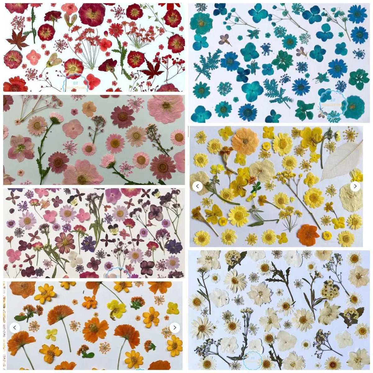 100 PCS Pressed Flowers: Mixed Red, Orange, Yellow, Purple Dried Flowers