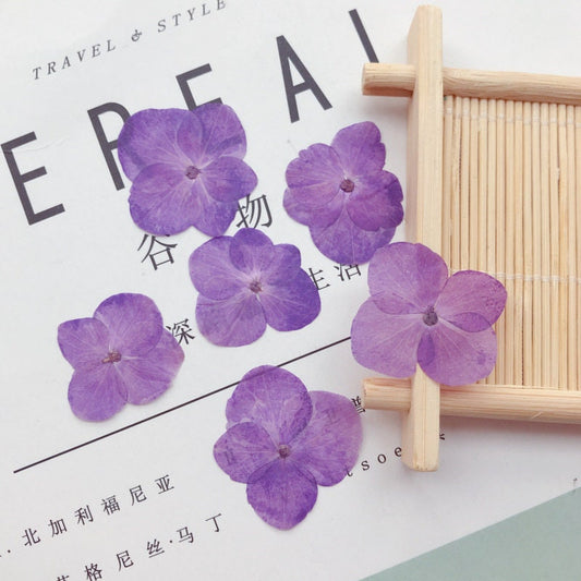 Dark Purple Pressed Hydrangea Flowers - 12 PCS Craft Supply