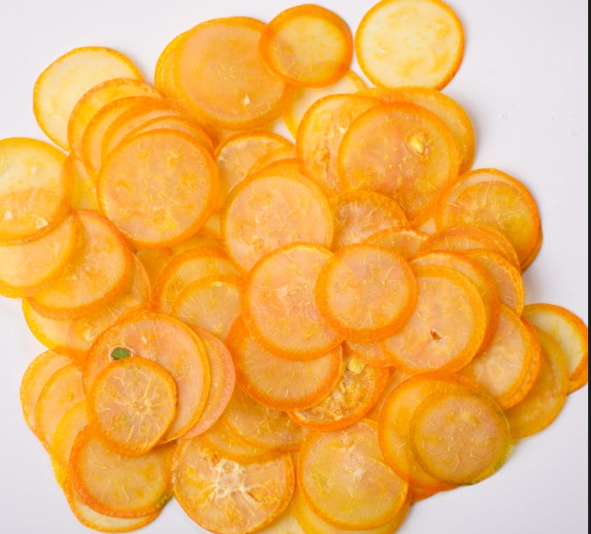 Pressed Kumquat Slices, Dried Fruit, Set of 4, Resin Crafts