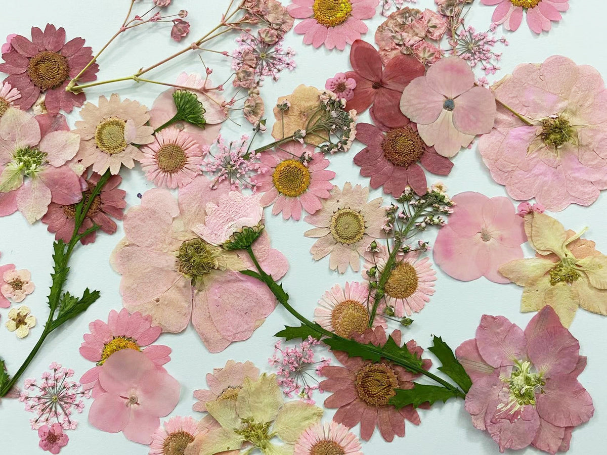 100 Pink Pressed Flowers: Mixed Dried Flowers for Crafts