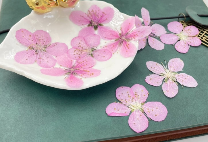 Pink Peach Blossom Pressed Flowers - 8 PCS for Resin Art
