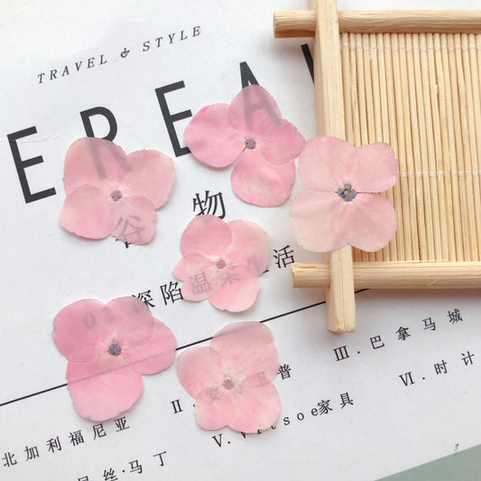 pressed flowers,Light pink pressed flowers,12 PCS/PACK, pink flower,Dried flower,dried flowers,pressed flower,Hydrangea pressed flower