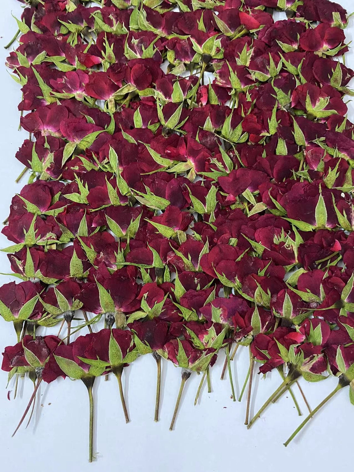 10PCS Dried Pressed Red Rose Buds: Tiny Real Flower Stems