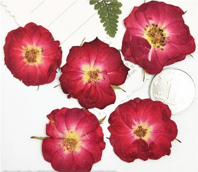 Red Pressed Rose Flowers: Flat Dried Roses, Wedding Crafts (10 PCS)
