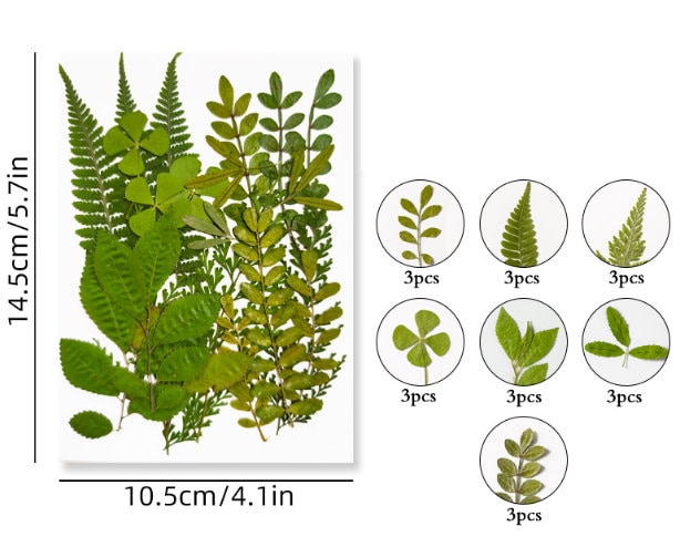 Pressed Green Leaves: Real Dried Flowers for Resin Crafts (21 PCS)