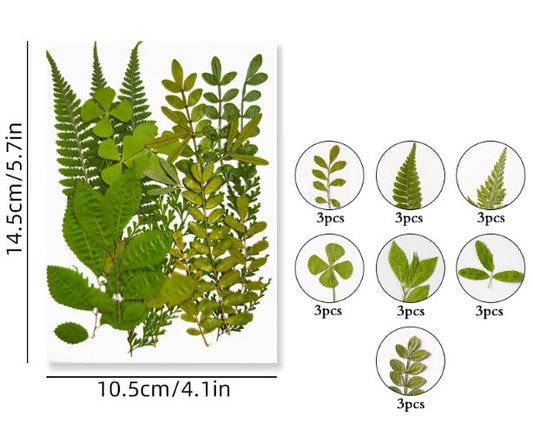Pressed Green Leaves: Real Dried Flowers for Resin Crafts (21 PCS)