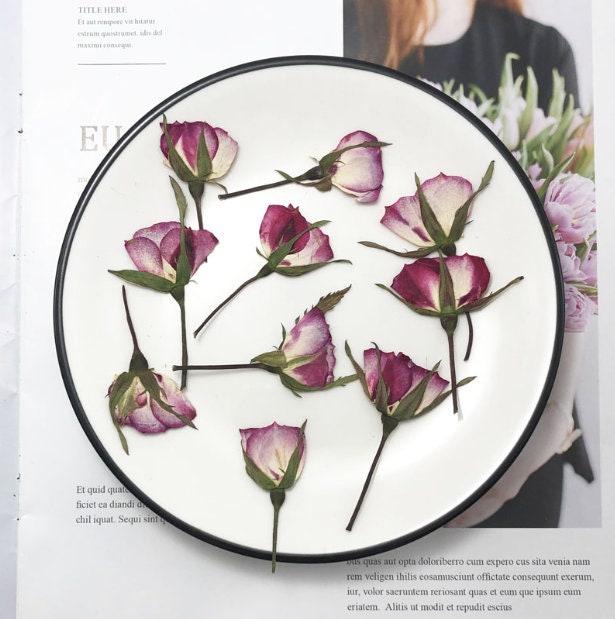 Pressed Purple Rose Buds: Dried Flowers for Crafts (12 PCS/Pack)