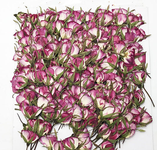 Pressed Purple Rose Buds: Dried Flowers for Crafts (12 PCS/Pack)