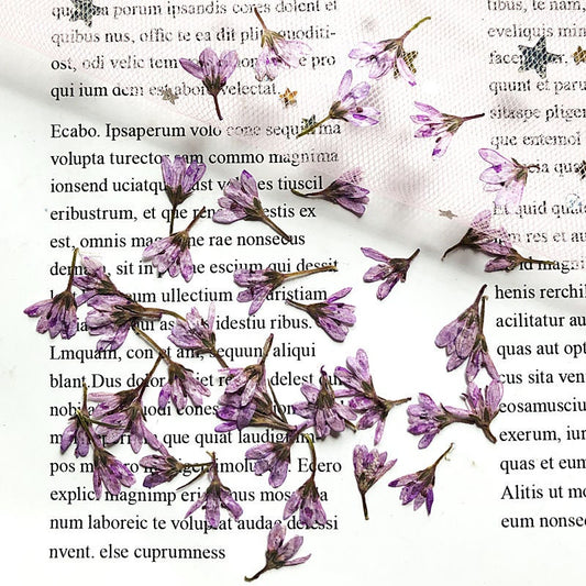 Pressed flower,20 PCS/Pack,light purple dried flower,Pressed Real Purple flower,dried flower petals,Small dried flowers