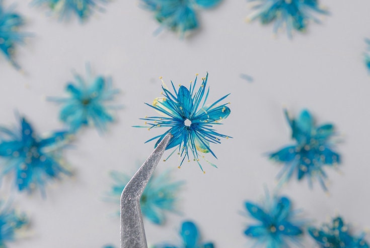 Pressed flower,Pressed Symplocos paniculata,12 PCS/Pack,blue dried flower,Real blue flower,dried flower petals,Small dried flowers