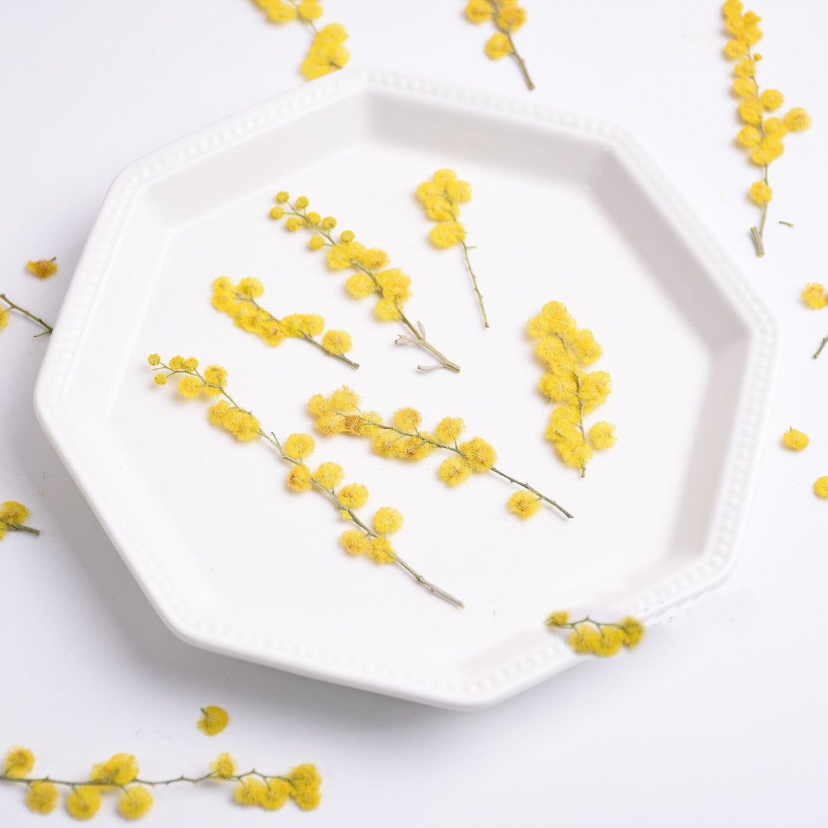 Yellow Pressed Flower Stems: Natural Dried Flowers, 8 PCS