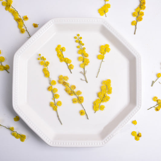 Yellow Pressed Flower Stems: Natural Dried Flowers, 8 PCS
