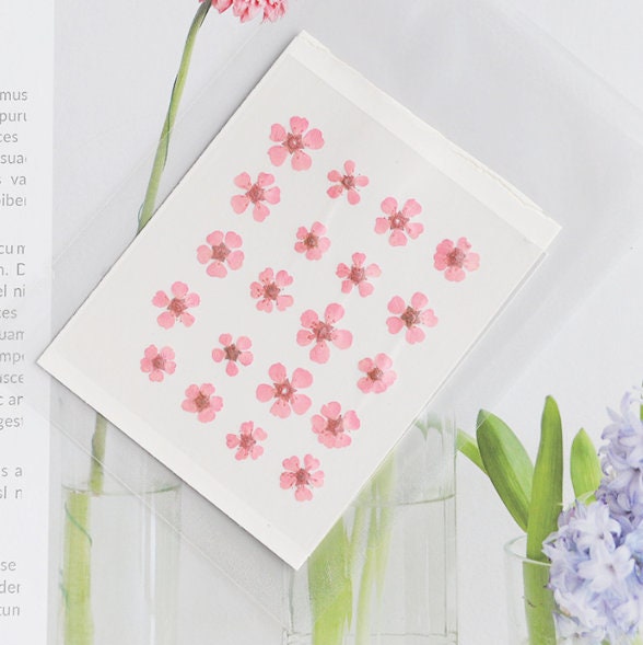20PCS Pink Pressed Flowers: Small Dried Narcissus (0.5-0.8cm)